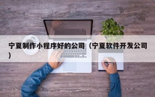 兴化宁夏制作小程序好的公司（宁夏软件开发公司）